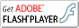 >Adobe Flash Player