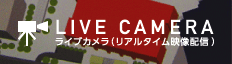 LIVE CAMERA