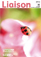 Liaison Vol.48