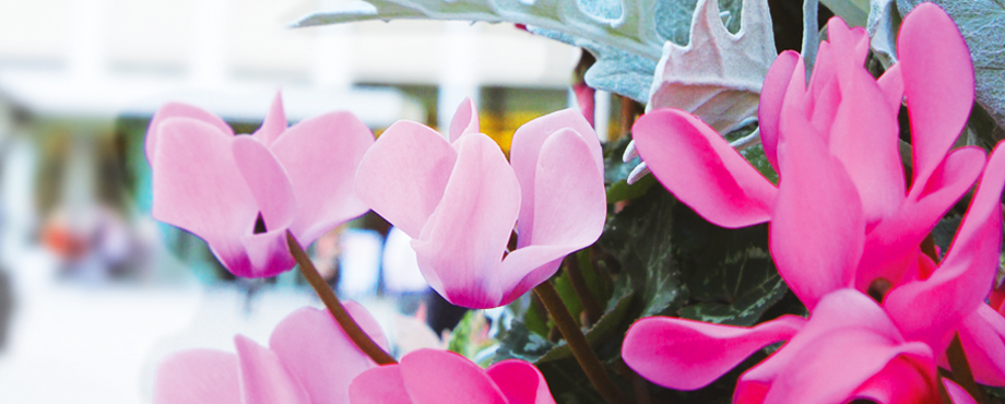 霞が関ビルディング